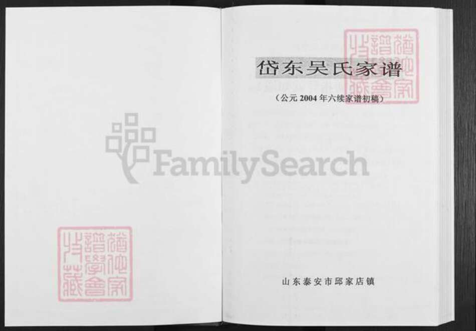 山东省泰安市泰山区吴氏族谱-岱东吴氏家谱.pdf电子版预览图1