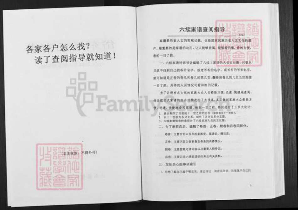 山东省泰安市泰山区吴氏族谱-岱东吴氏家谱.pdf电子版预览图2