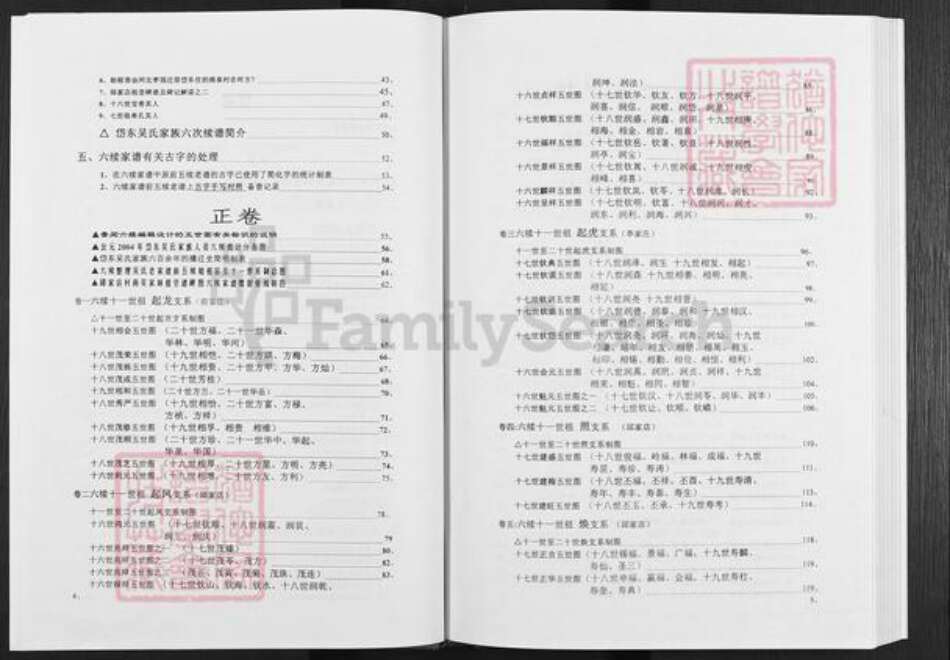 山东省泰安市泰山区吴氏族谱-岱东吴氏家谱.pdf电子版预览图4