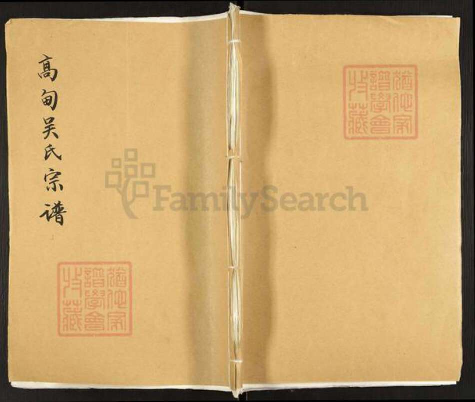 安徽省铜陵市枞阳县雨坛镇吴氏着存堂族谱-高甸吴氏宗谱.pdf电子版缩略图