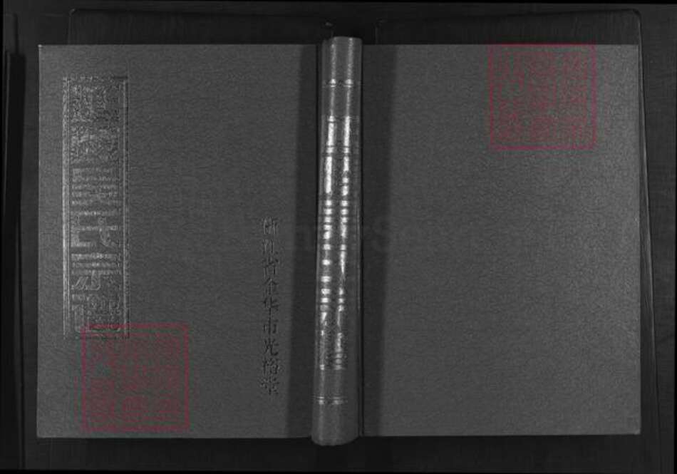 浙江省金华市婺城区吴氏光裕堂族谱-延陵吴氏宗谱.pdf电子版缩略图