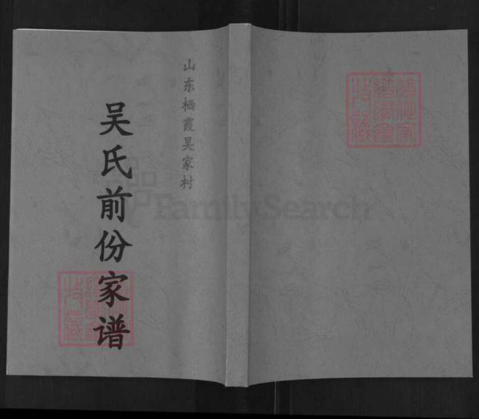 山东省烟台市栖霞市庙后镇吴氏族谱-吴家村吴氏前份家谱.pdf电子版缩略图