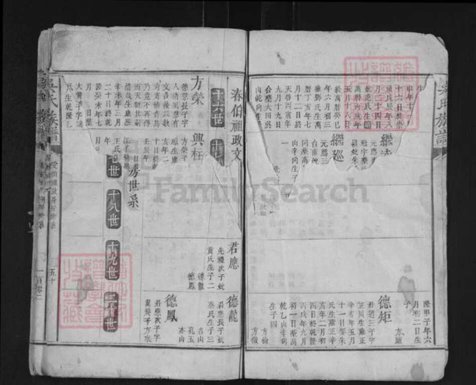 湖南省郴州市桂阳县吴氏族谱-吴氏族谱.pdf电子版预览图3