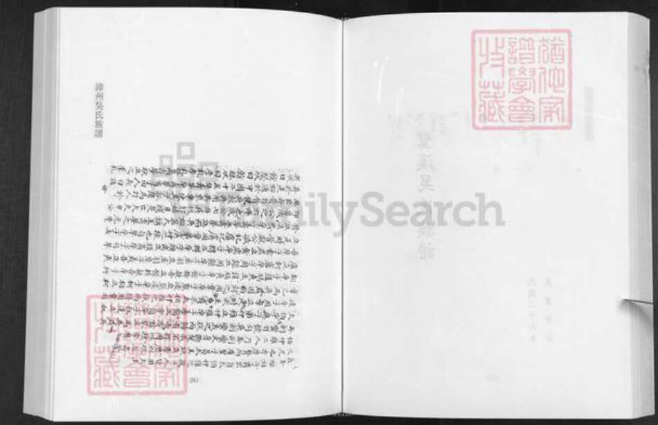 福建省漳州市南靖县金山镇吴氏怀德堂族谱-漳州吴氏族谱.pdf电子版预览图2