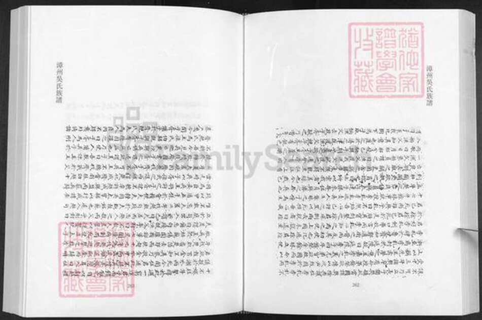 福建省漳州市南靖县金山镇吴氏怀德堂族谱-漳州吴氏族谱.pdf电子版预览图3