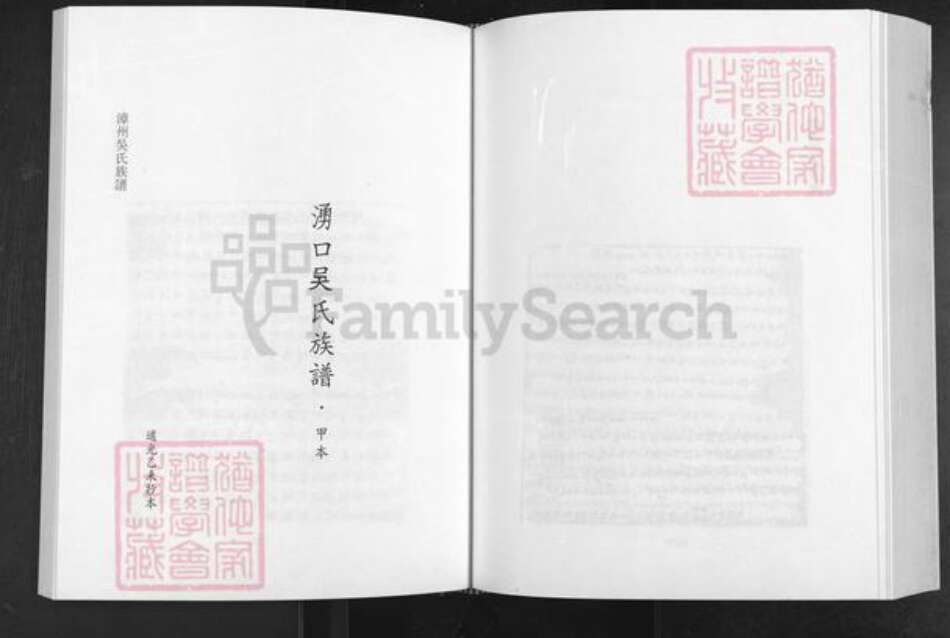 福建省漳州市南靖县龙山镇吴氏永思堂族谱-漳州吴氏族谱.pdf电子版预览图1