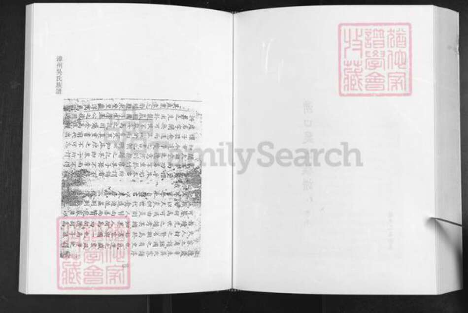 福建省漳州市南靖县龙山镇吴氏永思堂族谱-漳州吴氏族谱.pdf电子版预览图2