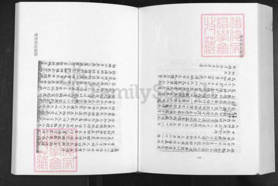 福建省漳州市南靖县龙山镇吴氏永思堂族谱-漳州吴氏族谱.pdf电子版预览图3