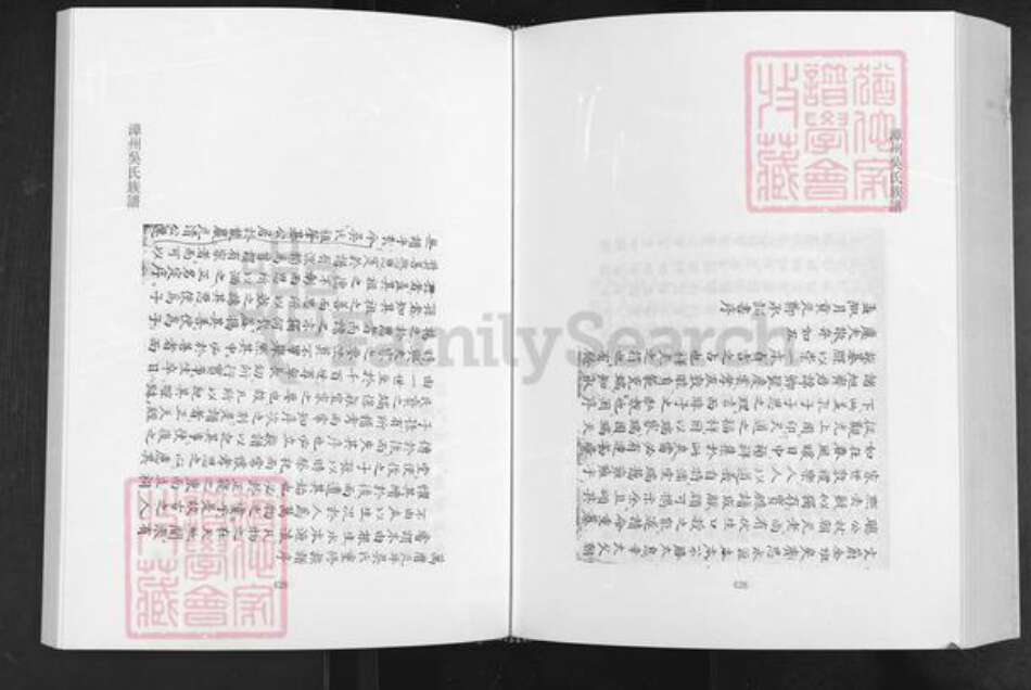 福建省漳州市南靖县龙山镇吴氏永思堂族谱-漳州吴氏族谱.pdf电子版预览图4