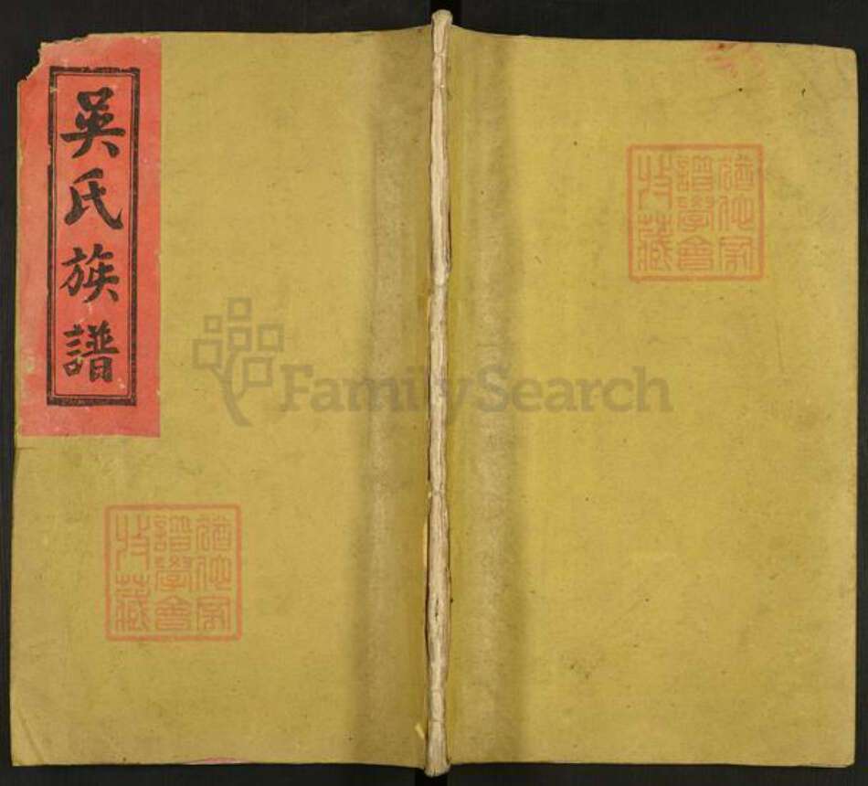 浙江省温州市平阳县吴氏族谱-吴氏族谱.pdf电子版缩略图