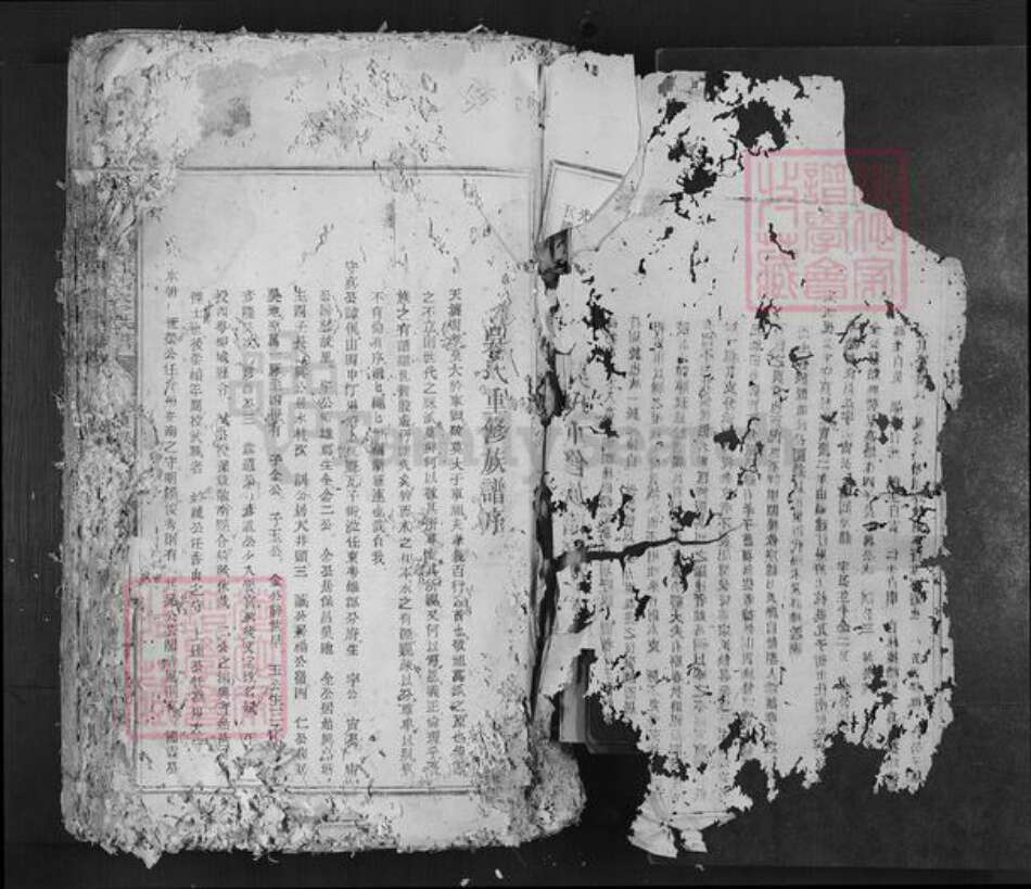 广东省韶关市南雄市吴氏渤海堂族谱-渤海堂吴氏六修族谱.pdf电子版预览图2