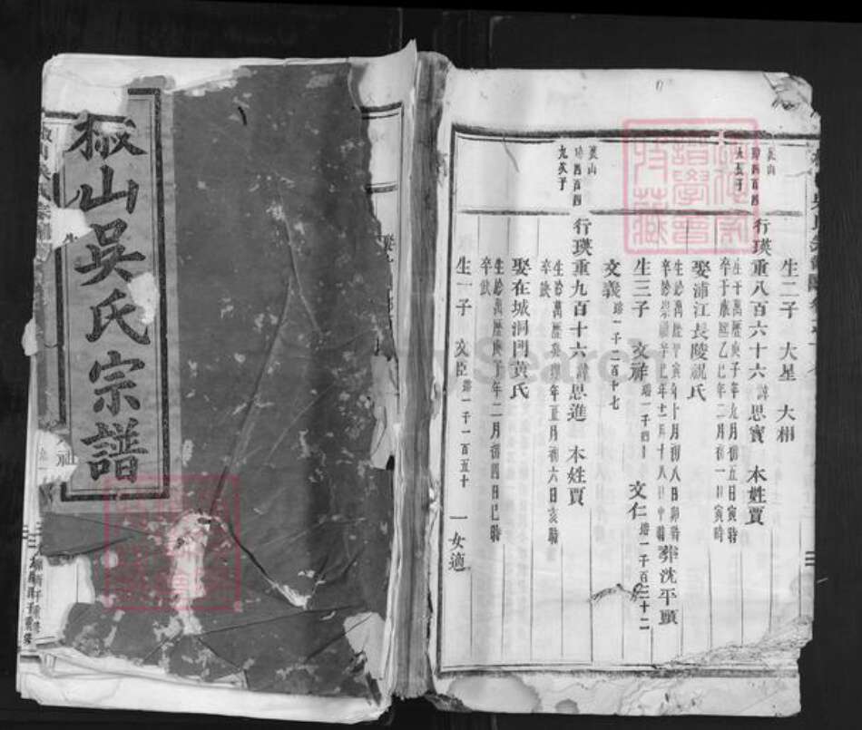 浙江省金华市吴氏族谱-椒山吴氏宗谱.pdf电子版缩略图