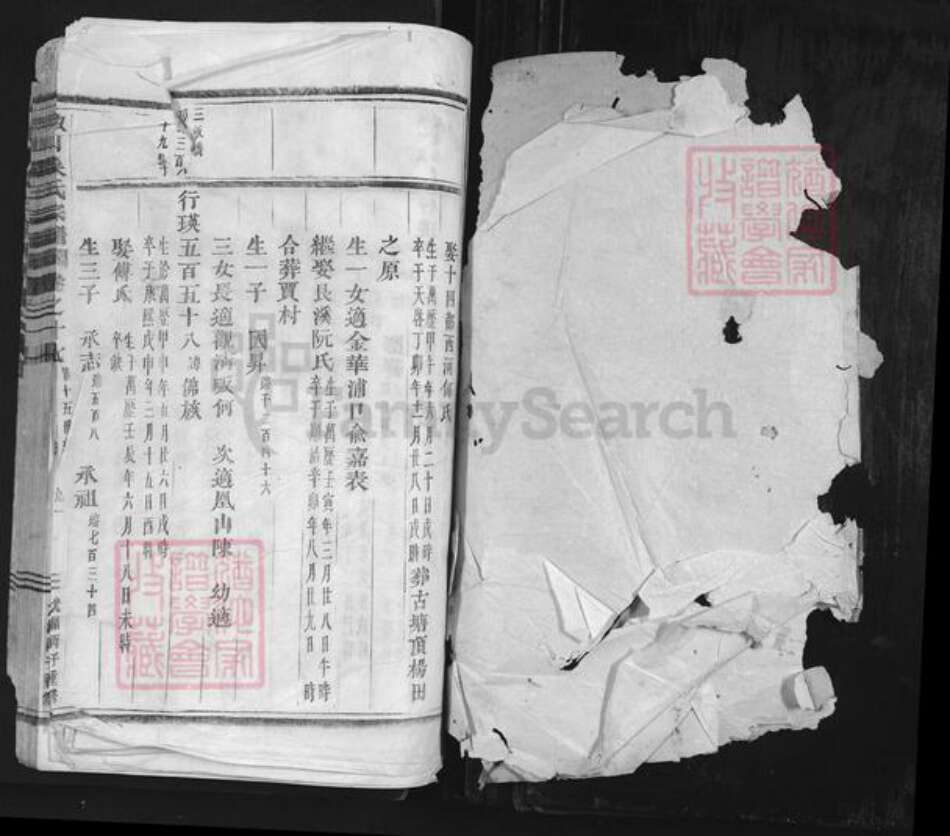 浙江省金华市吴氏族谱-椒山吴氏宗谱.pdf电子版预览图1