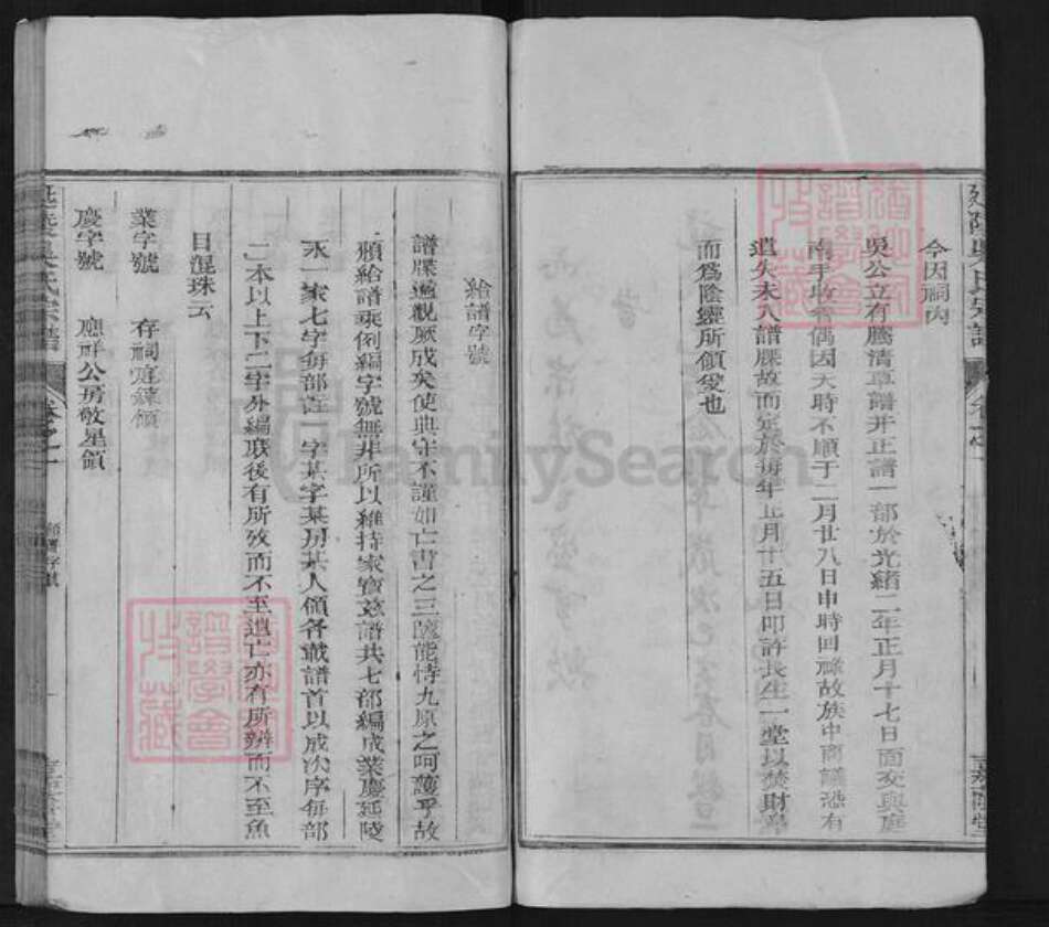 贵州省贵阳市吴氏嘉荫堂族谱-开阳芦川吴氏宗谱.pdf电子版预览图4