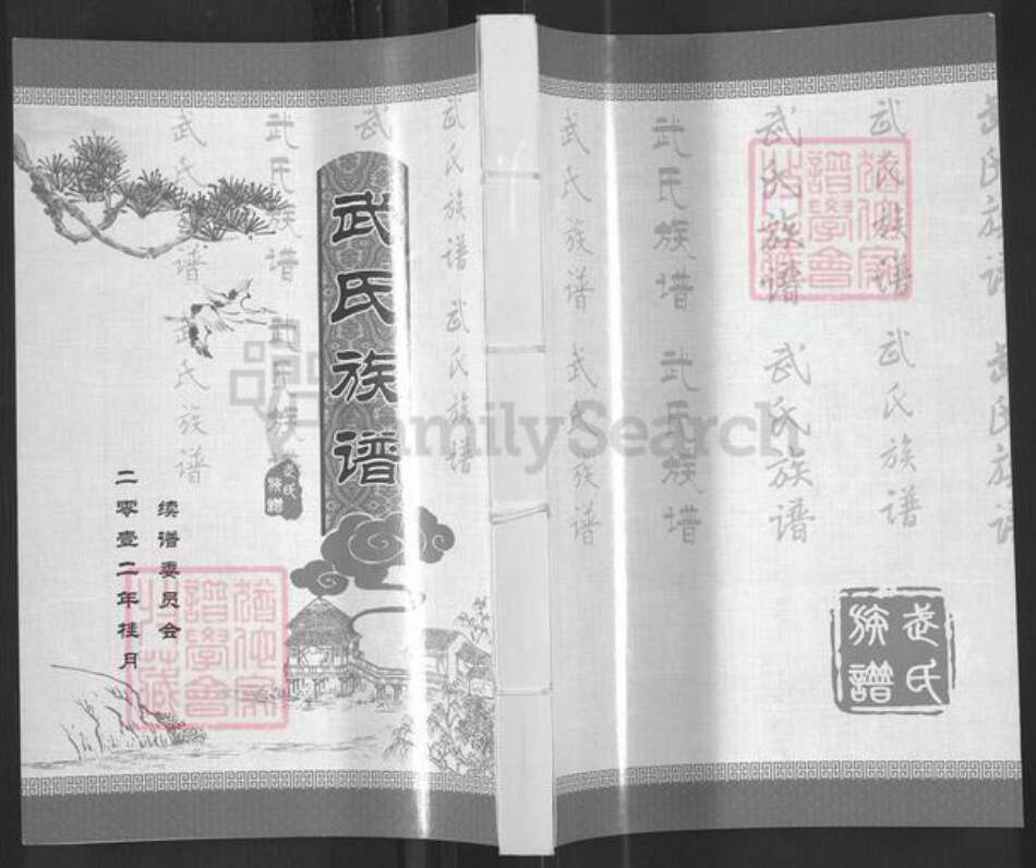 山东省济南市钢城区武氏族谱-武氏族谱.pdf电子版缩略图