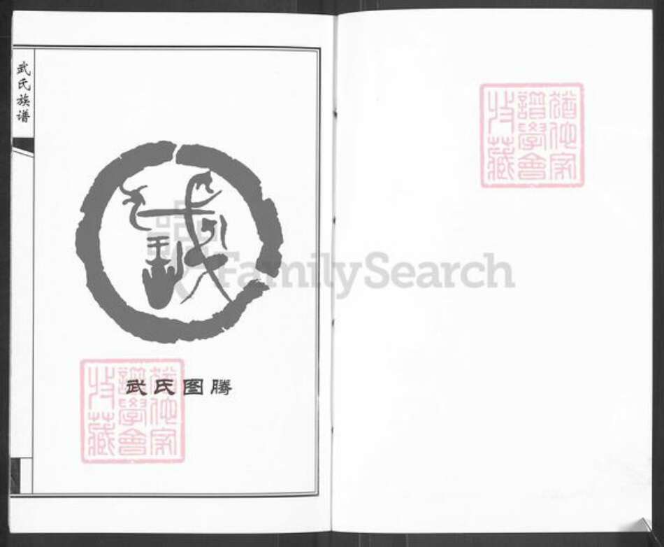 山东省济南市钢城区武氏族谱-武氏族谱.pdf电子版预览图1