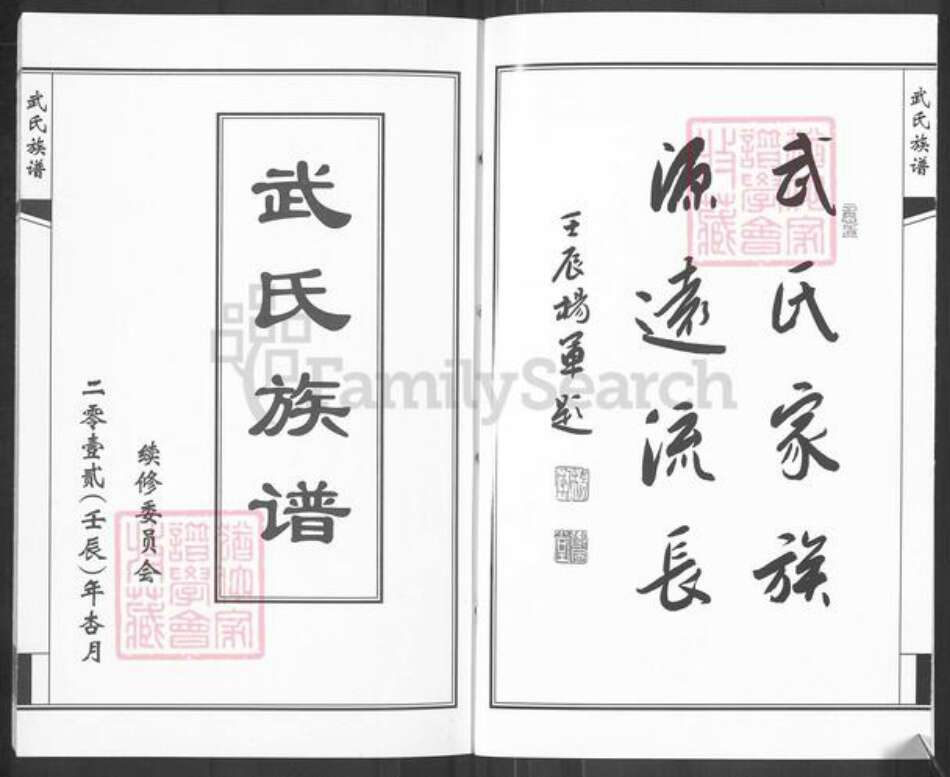 山东省济南市钢城区武氏族谱-武氏族谱.pdf电子版预览图2