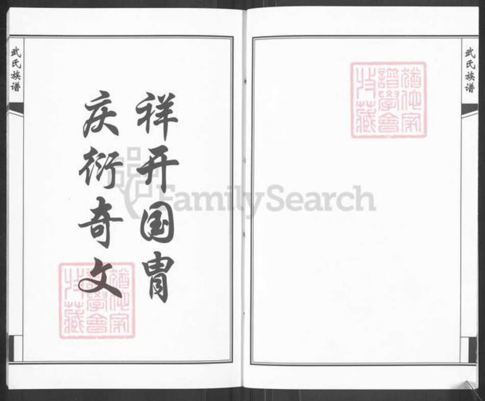 山东省济南市钢城区武氏族谱-武氏族谱.pdf电子版预览图3
