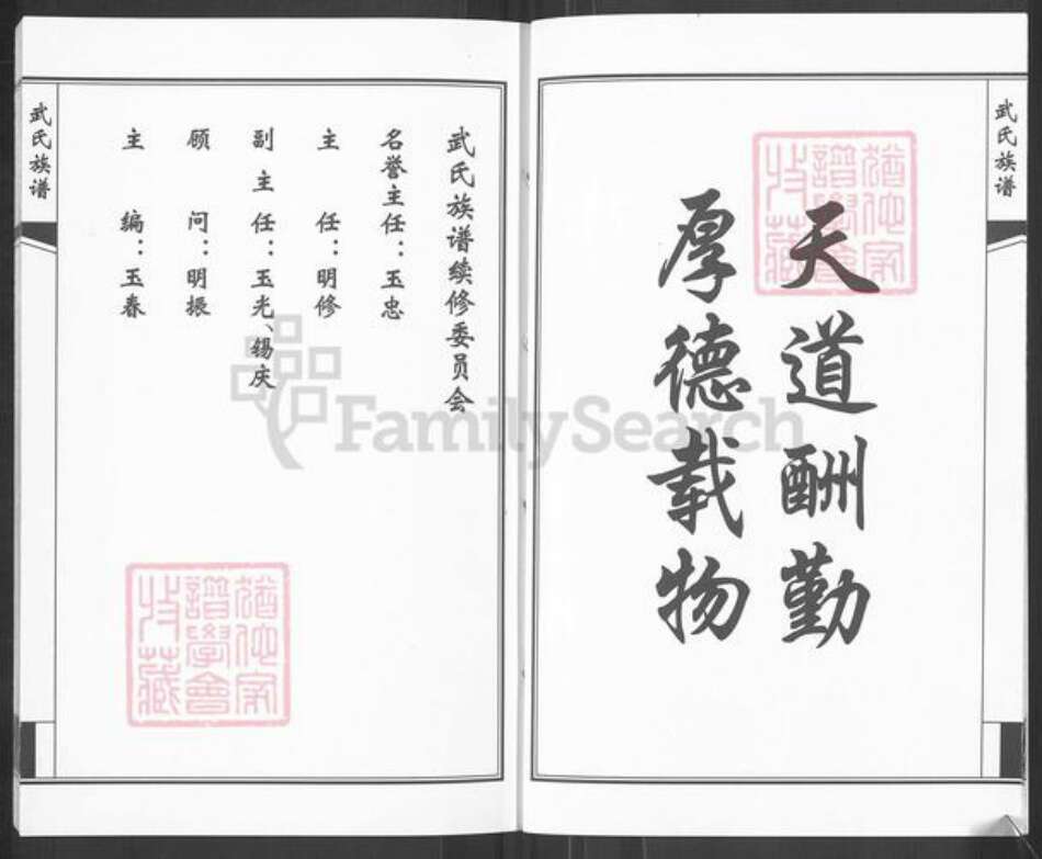 山东省济南市钢城区武氏族谱-武氏族谱.pdf电子版预览图4
