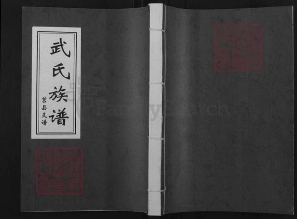山东省临沂市沂水县武氏族谱-武氏族谱.莒县支谱.pdf电子版缩略图