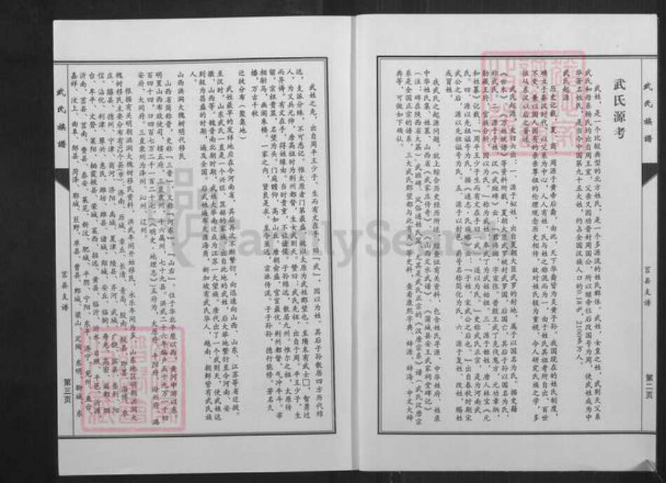 山东省临沂市沂水县武氏族谱-武氏族谱.莒县支谱.pdf电子版预览图2