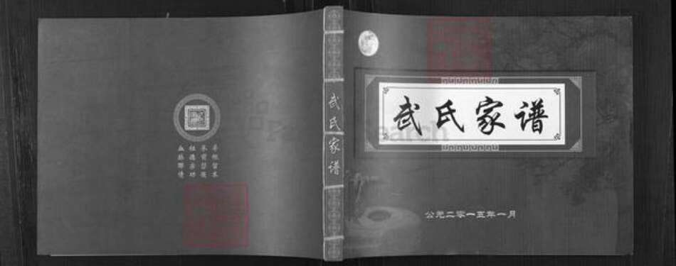 山西省太原市清徐县东于镇武氏族谱-武氏家谱.pdf电子版缩略图