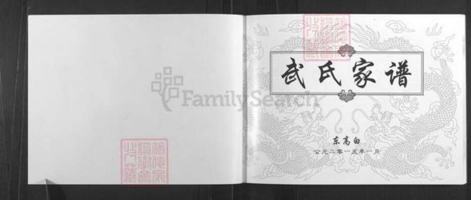 山西省太原市清徐县东于镇武氏族谱-武氏家谱.pdf电子版预览图1