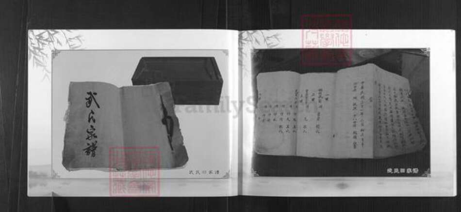 山西省太原市清徐县东于镇武氏族谱-武氏家谱.pdf电子版预览图4