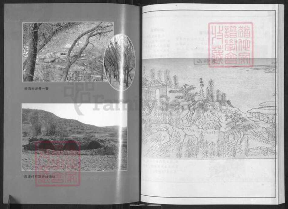 山西省临汾市蒲县古县乡席氏族谱-蒲县席氏家谱.pdf电子版预览图5