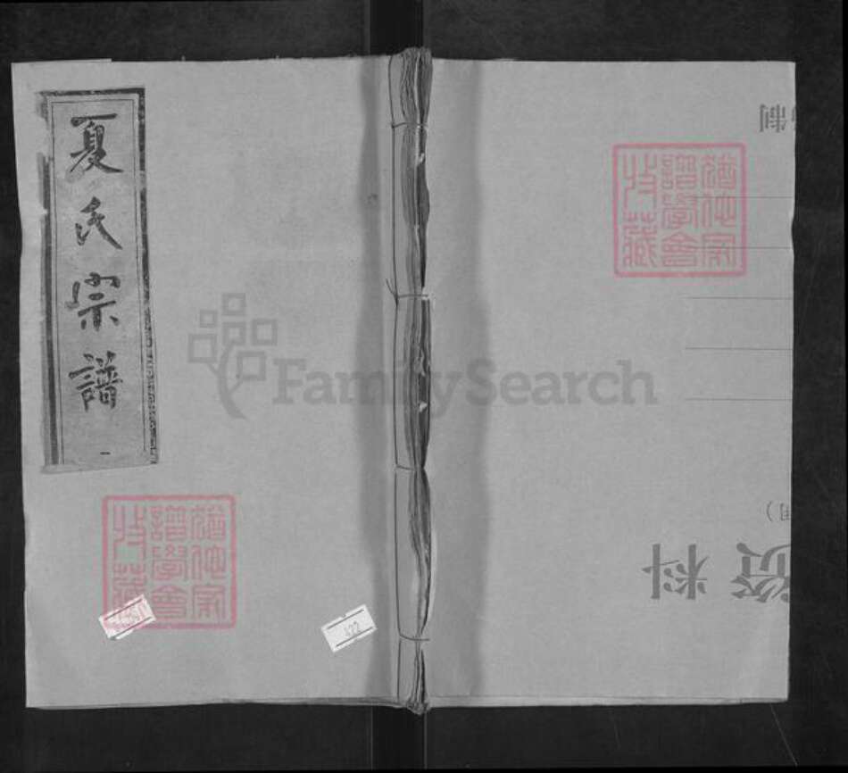 江西省九江市武宁县夏氏敦本堂族谱-夏氏宗谱.pdf电子版缩略图