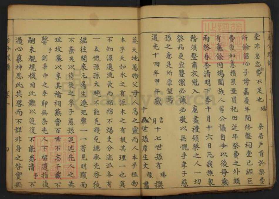 湖北省黄冈市罗田县大崎镇夏氏族谱-夏氏巽初支谱.pdf电子版预览图5