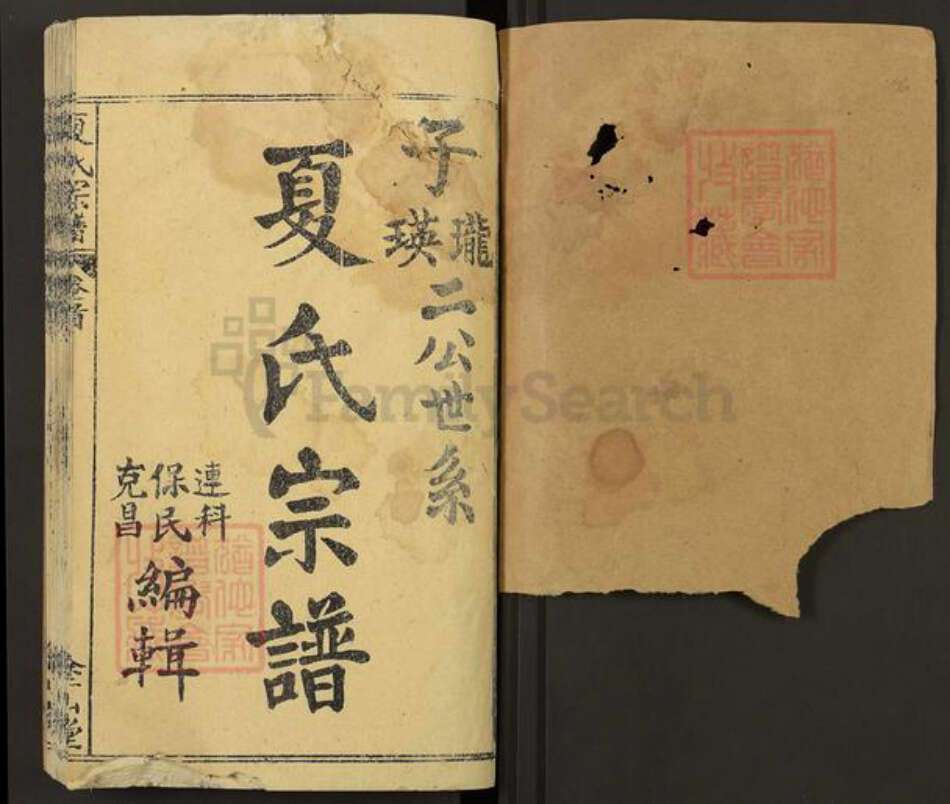 湖北省黄冈市罗田县大崎镇夏氏涂山堂族谱-夏氏宗谱.pdf电子版预览图1