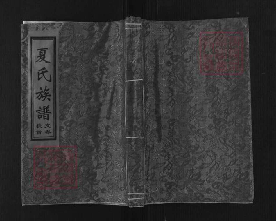 山东省潍坊市昌邑市围子街道夏氏族谱-夏氏族谱.pdf电子版缩略图