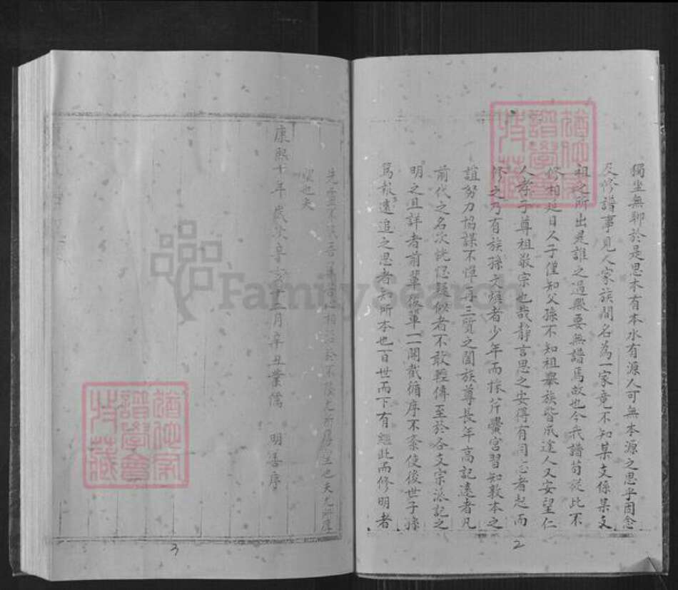 山东省潍坊市昌邑市围子街道夏氏族谱-夏氏族谱.pdf电子版预览图2