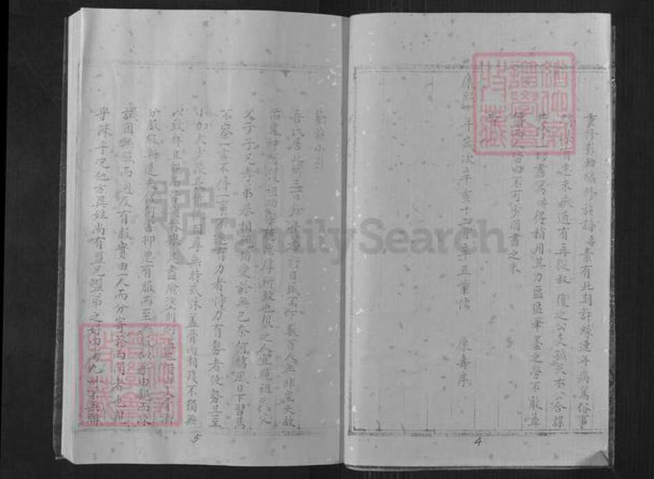 山东省潍坊市昌邑市围子街道夏氏族谱-夏氏族谱.pdf电子版预览图3