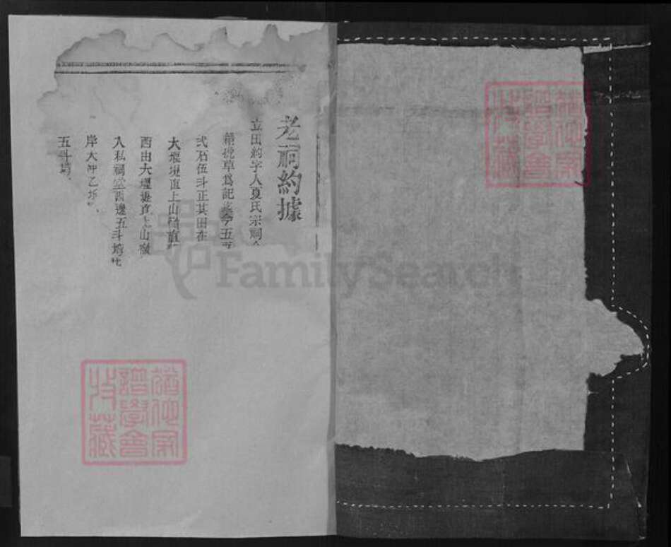 湖北省随州市随县均川镇夏氏族谱-夏氏宗谱.pdf电子版预览图1