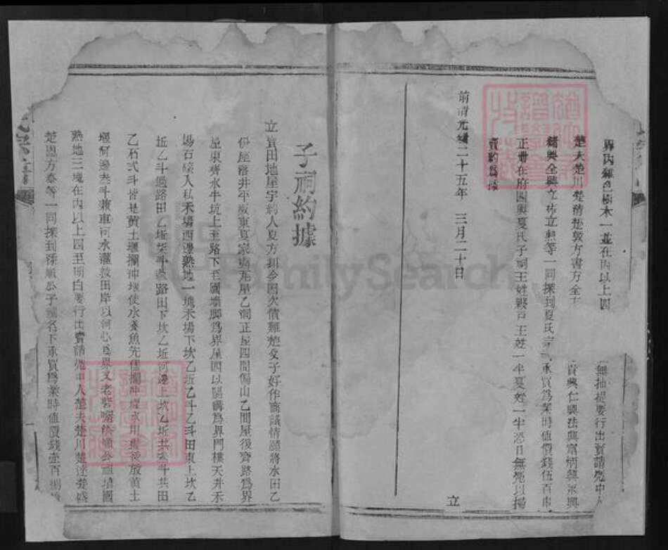 湖北省随州市随县均川镇夏氏族谱-夏氏宗谱.pdf电子版预览图4