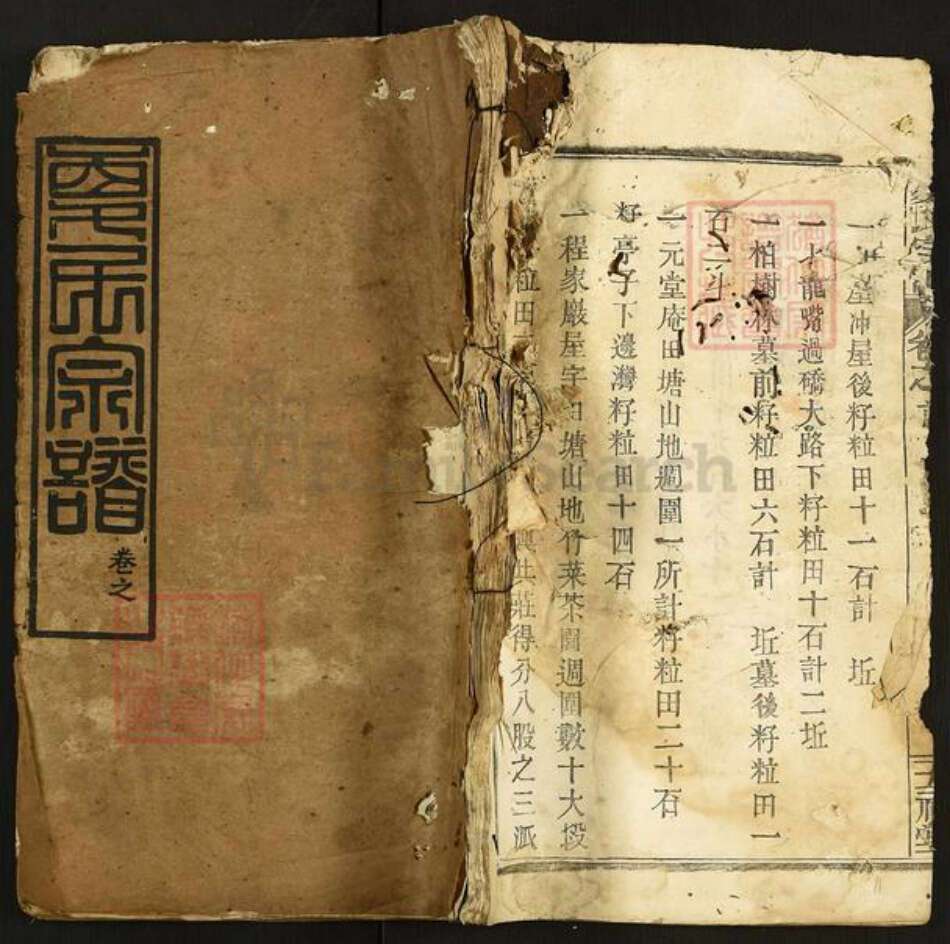 湖北省黄冈市罗田县大崎镇夏氏五福堂族谱-夏氏宗谱.pdf电子版缩略图