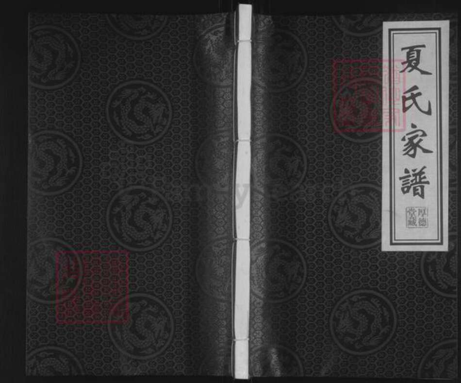 江苏省泰州市靖江市夏氏厚德堂族谱-夏氏家谱.pdf电子版缩略图