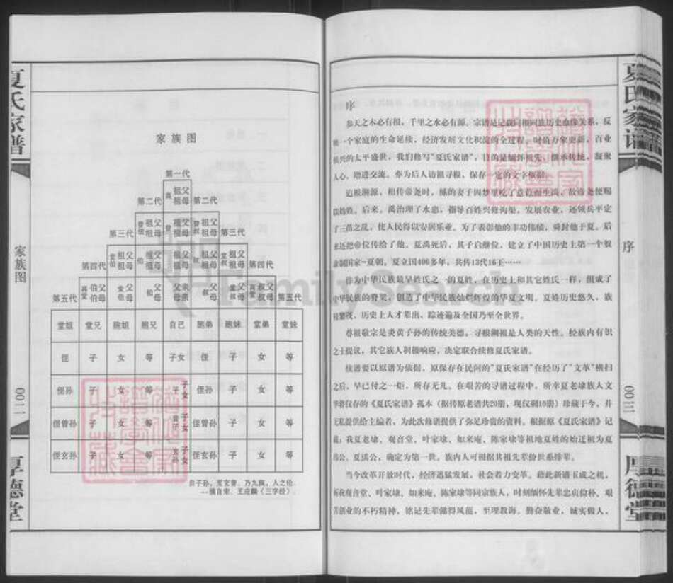 江苏省泰州市靖江市夏氏厚德堂族谱-夏氏家谱.pdf电子版预览图4