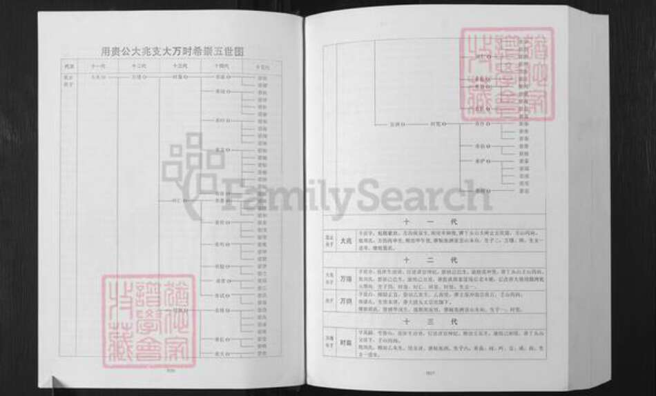 湖南省益阳市安化县小淹镇湖南省益阳市安化县夏氏会稽堂族谱-湖南夏氏子章公十一修族谱.pdf电子版预览图5