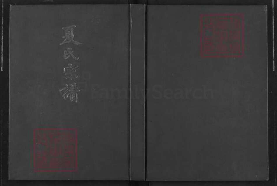 江苏省淮安市淮阴区夏氏会稽堂族谱-夏氏宗谱.pdf电子版缩略图