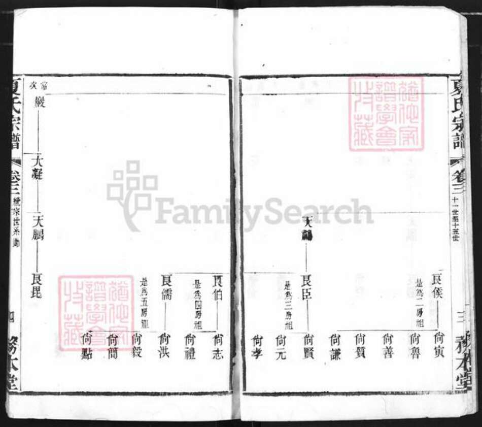 江苏省常州市夏氏务本堂族谱-夏氏宗谱.pdf电子版预览图5