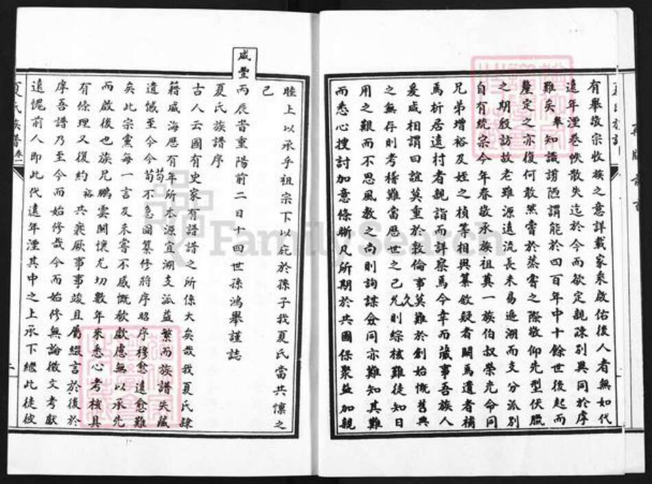 山东省威海市环翠区夏氏族谱-夏氏族谱.pdf电子版预览图5