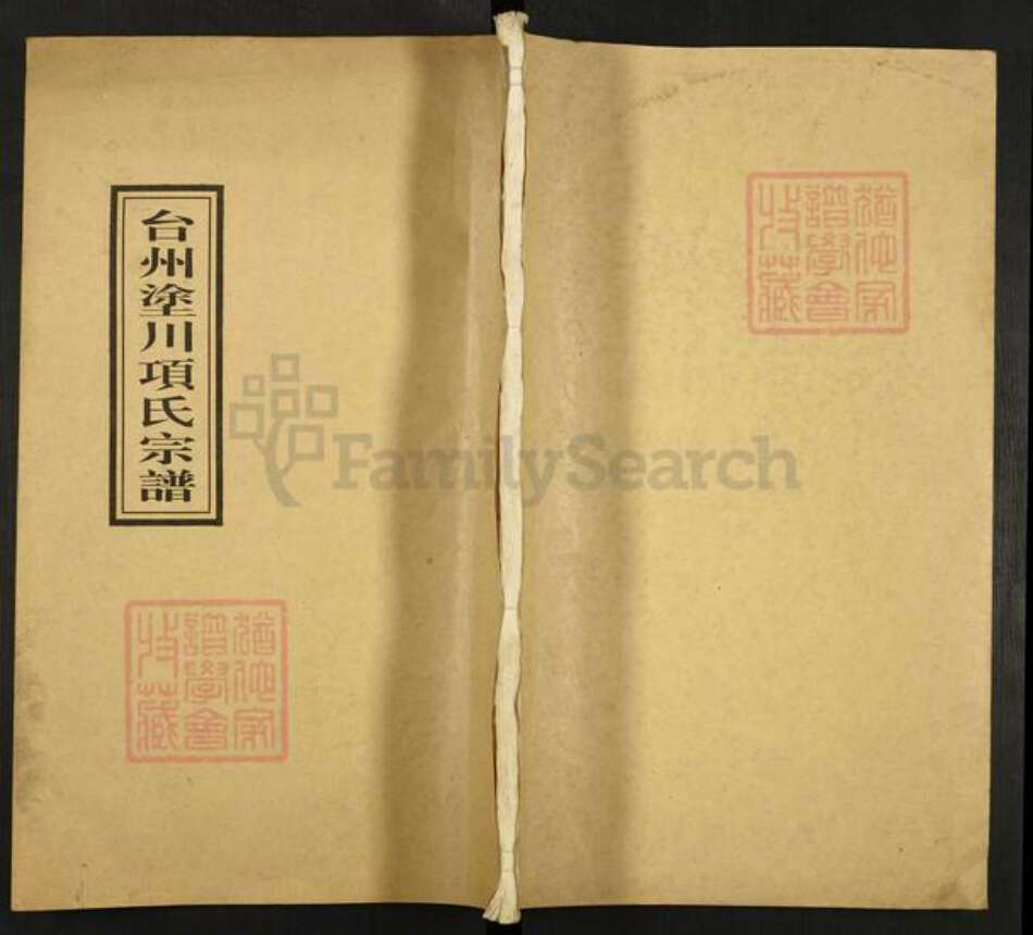 浙江省台州市临海市杜桥项氏族谱-台州涂川项氏宗谱.pdf电子版缩略图