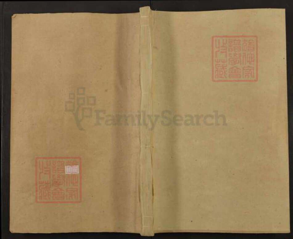 安徽省合肥市庐江县泥河镇项氏崇报堂族谱-辽西项氏宗谱.pdf电子版缩略图