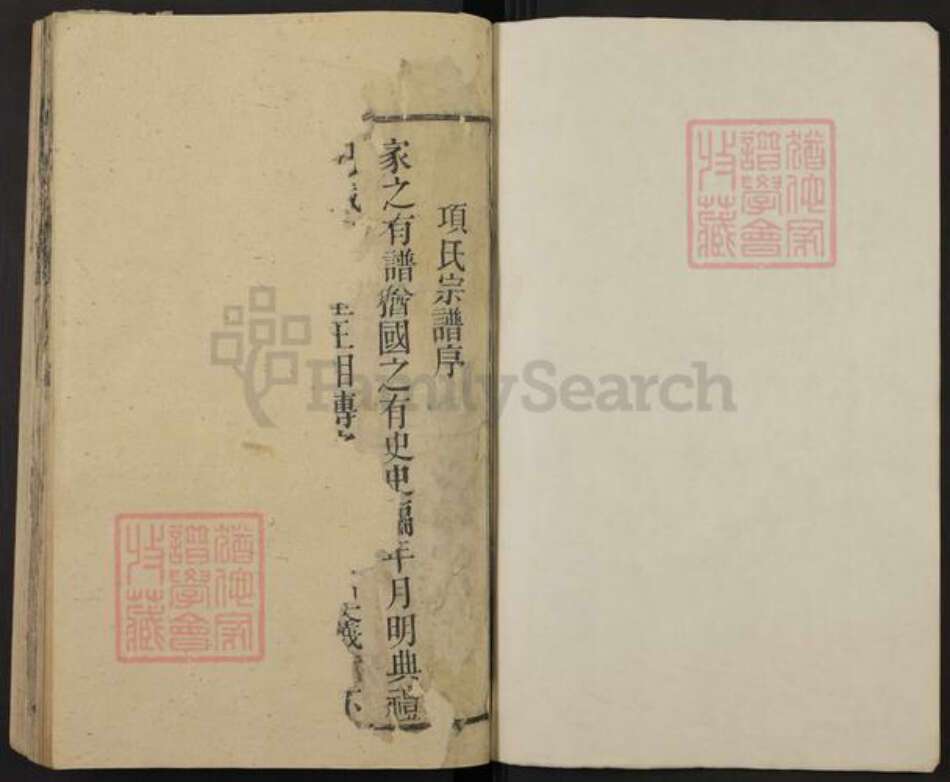 安徽省合肥市庐江县泥河镇项氏崇报堂族谱-辽西项氏宗谱.pdf电子版预览图1