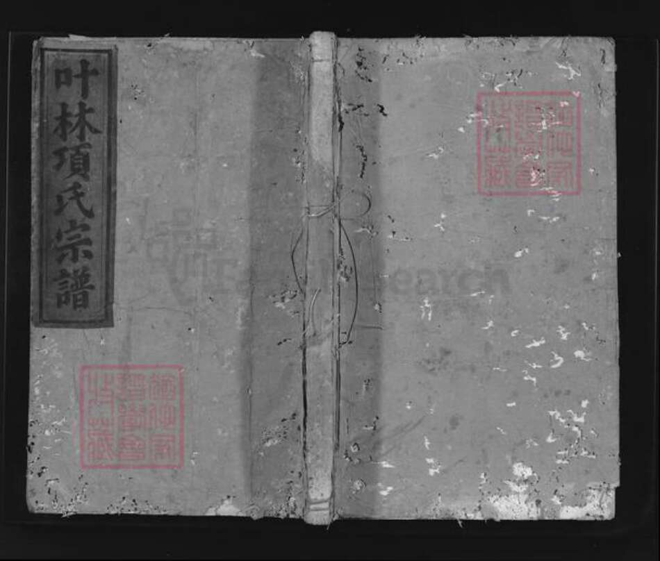 浙江省杭州市淳安县县中洲镇项氏光祖堂族谱-遂阳叶林项氏宗谱.pdf电子版缩略图