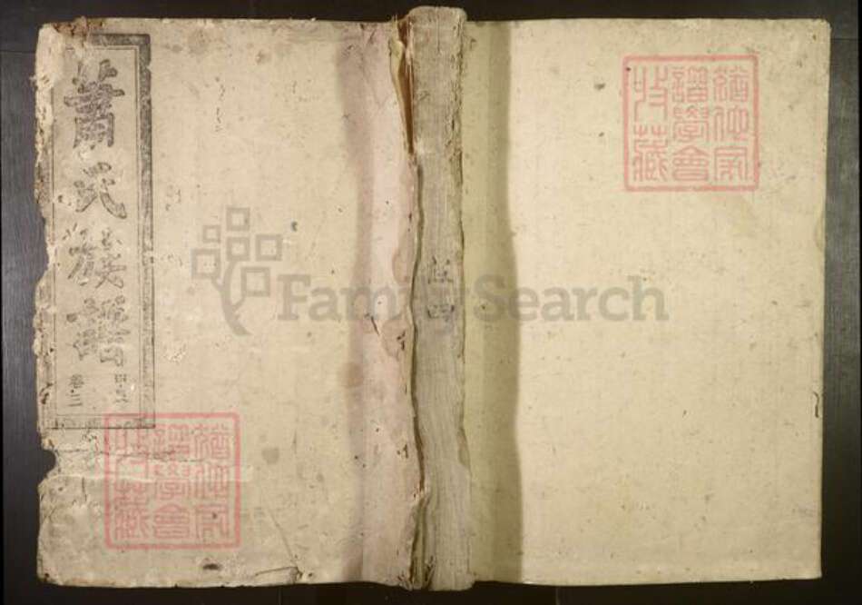 湖南省郴州市宜章县萧氏族谱-萧氏族谱.pdf电子版缩略图