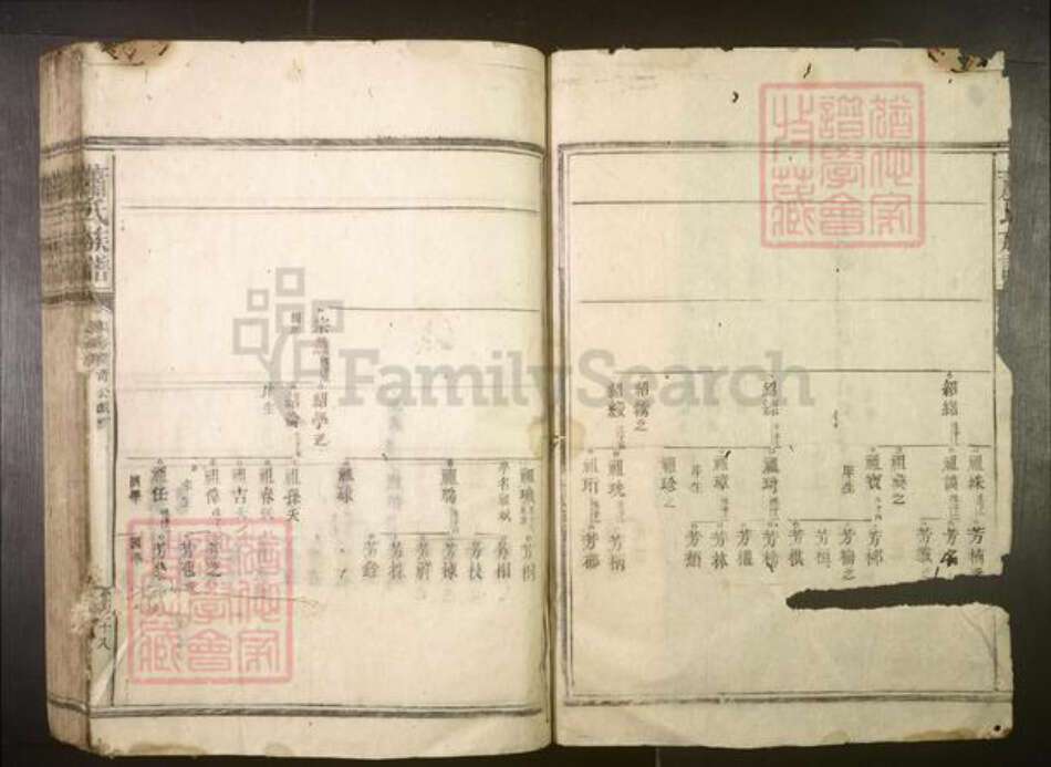 湖南省郴州市宜章县萧氏族谱-萧氏族谱.pdf电子版预览图2